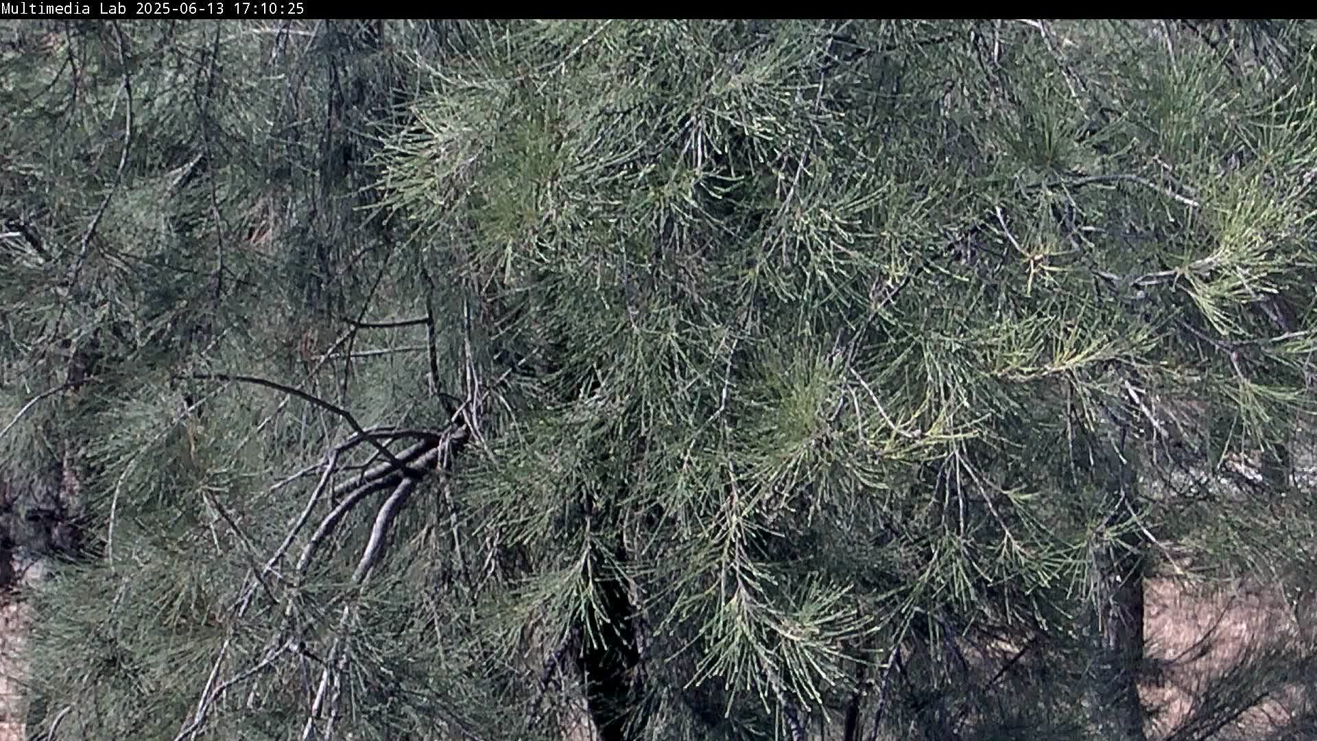 View Axis camera in Greece, Viron