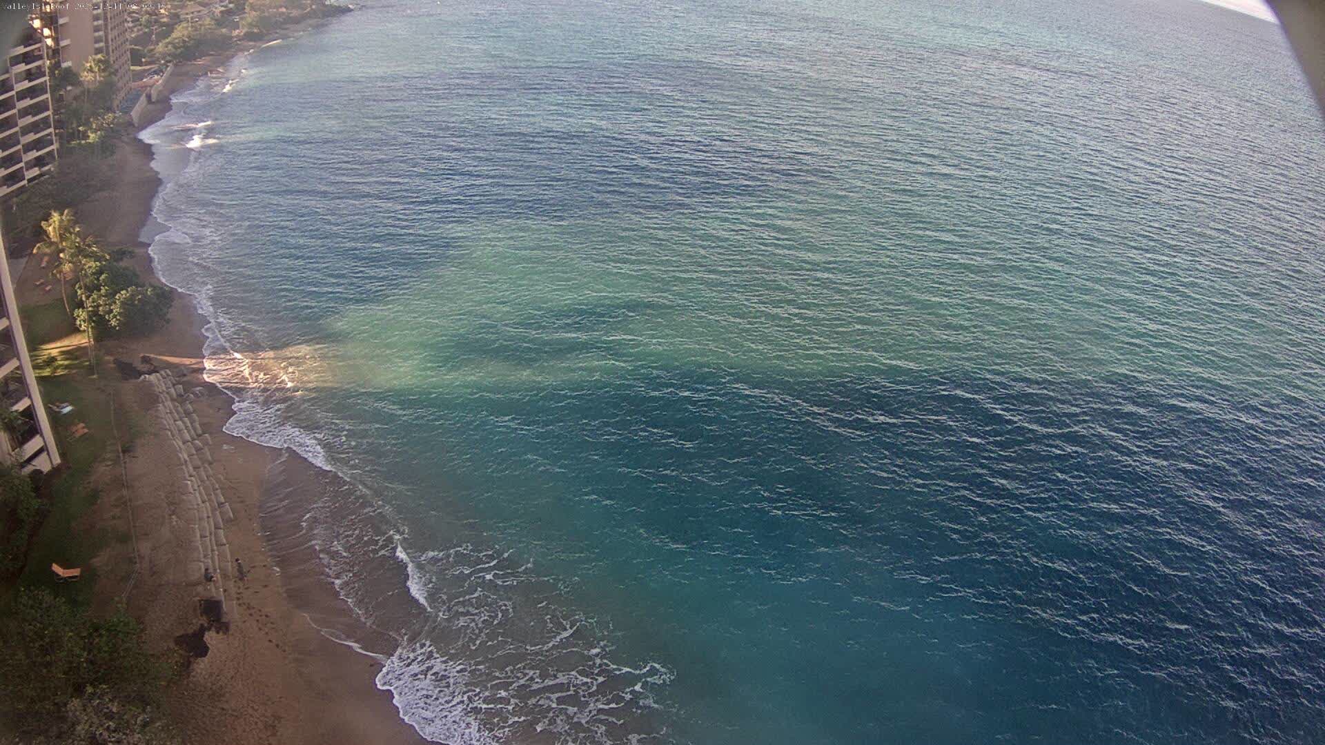 View Axis camera in United States, Keaau